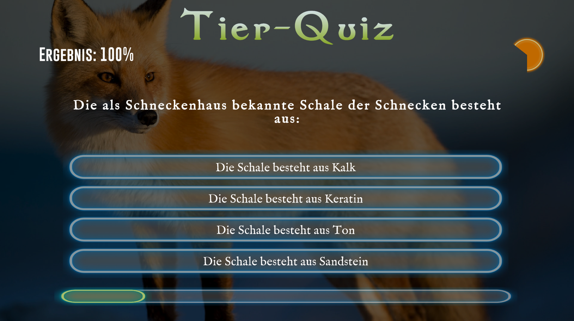 Animal Quiz Cover